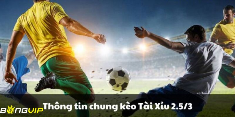 kèo tài xỉu 2.5-3