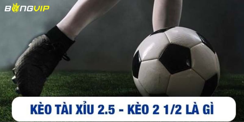 Kèo tài xỉu 2.5: Một khái niệm cần hiểu rõ