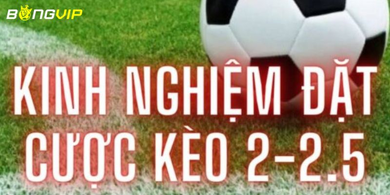 Kinh nghiệm đánh kèo tài xỉu 2-2.5 bất bại từ cao thủ